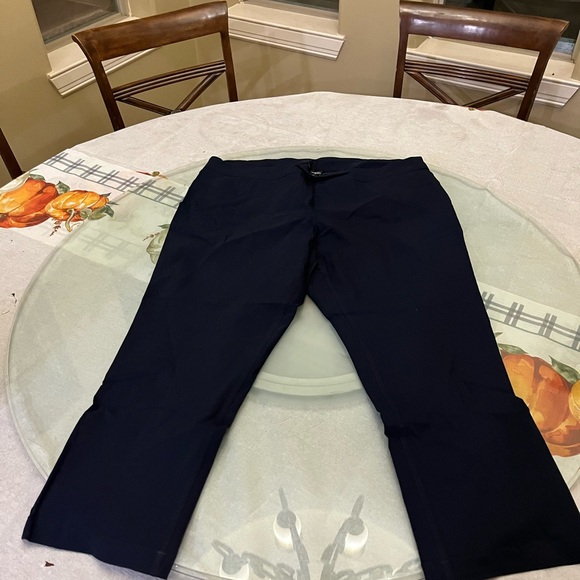 Dress Pants Slim-Sation by Multiples Woman’s Blue Pants‎ size 22W - Picture 1 of 4